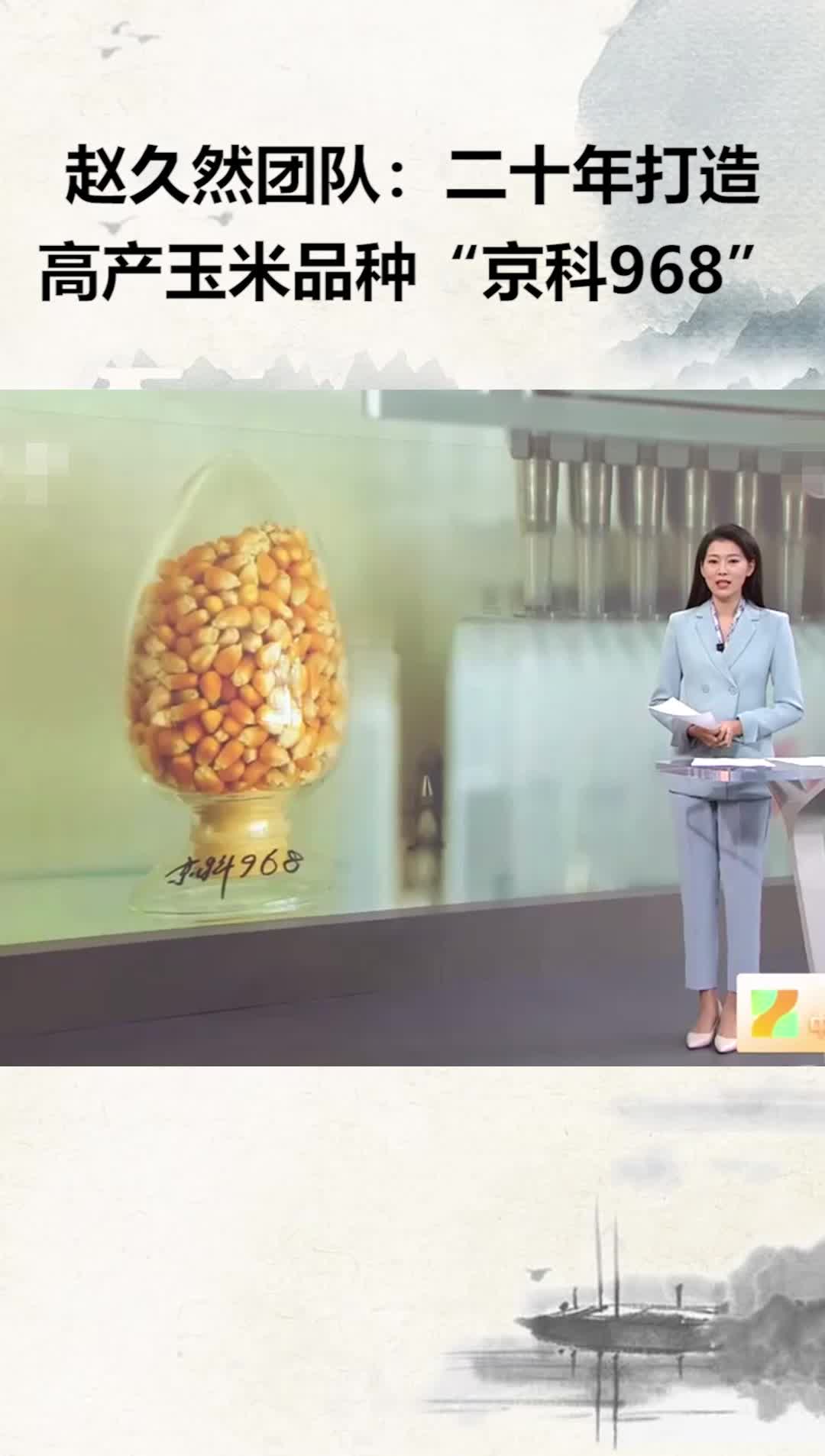 赵久然团队：二十年打造高产玉米品种“京科968”